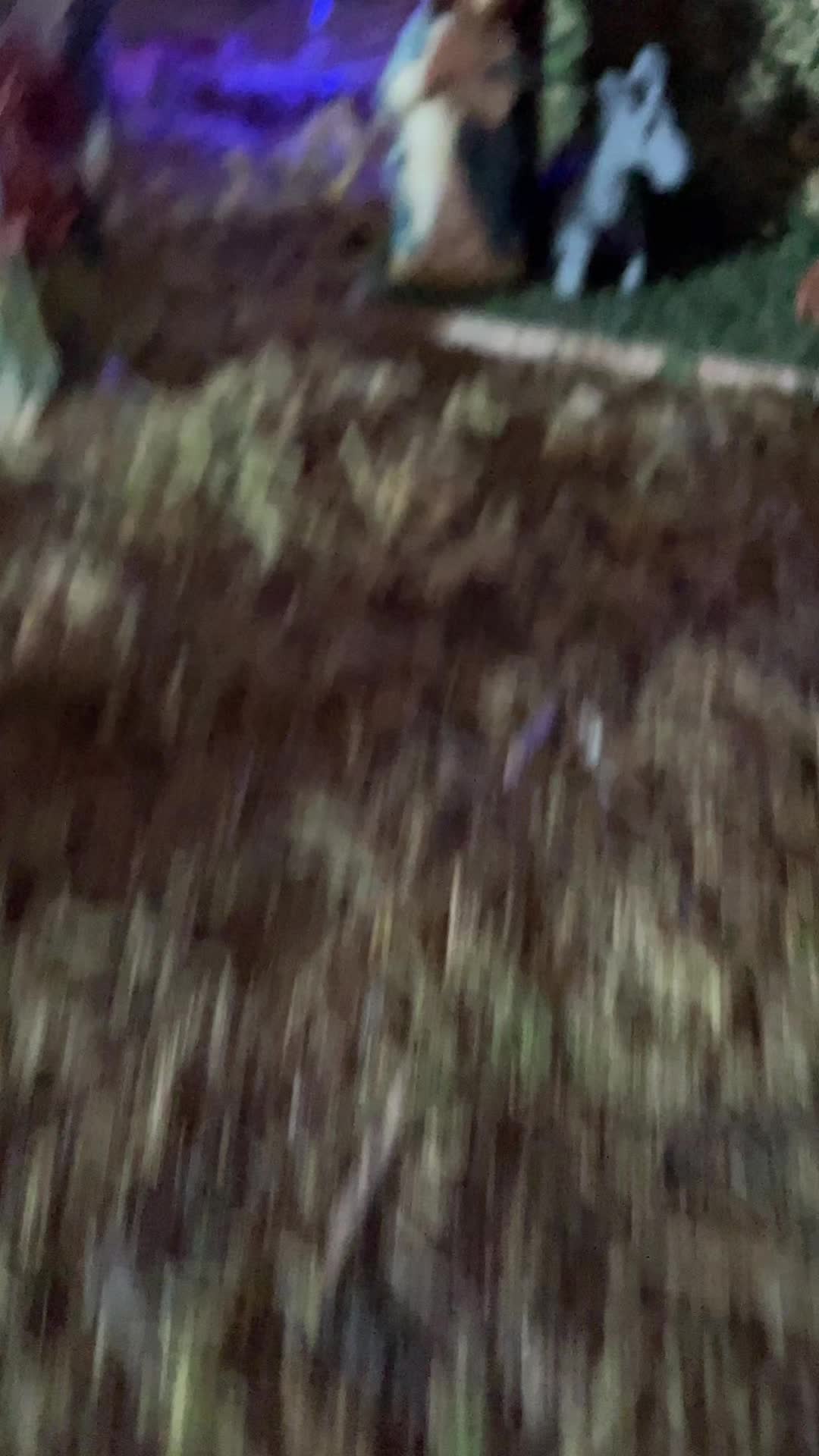 @appassionatodimotori0