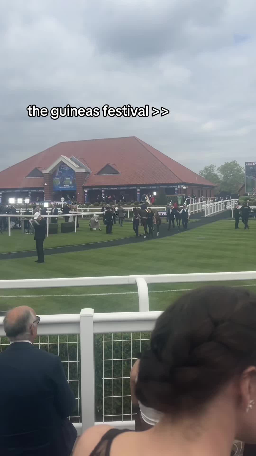 @julia 🏇🏻