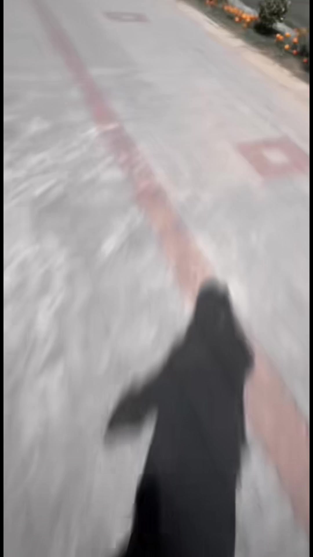 @(✿ ◕‿◕ ✿)
