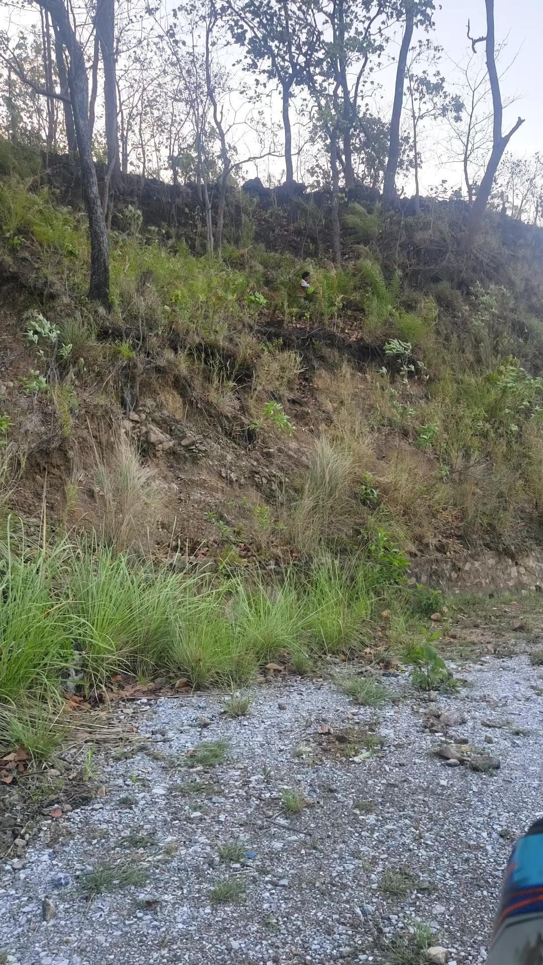 @Giri Dhar