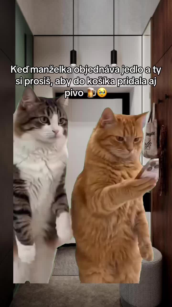 @Ievgenko