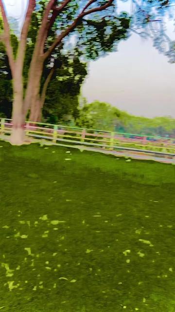 @(≧ᴗ≦) 🆂🅷🅰🆆🆀🅸 ✦꧂
