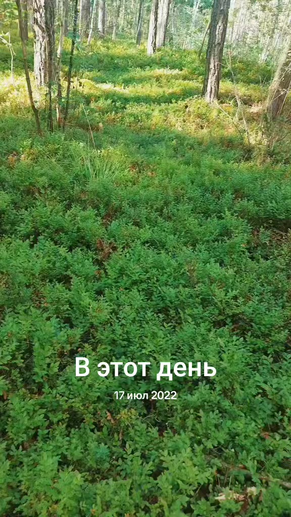 @A_n_d_r_e_666