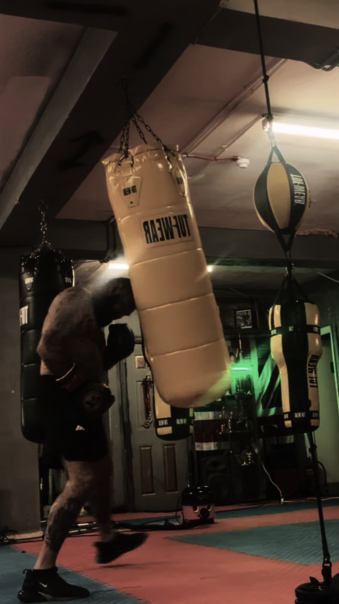 @mikehadley boxer