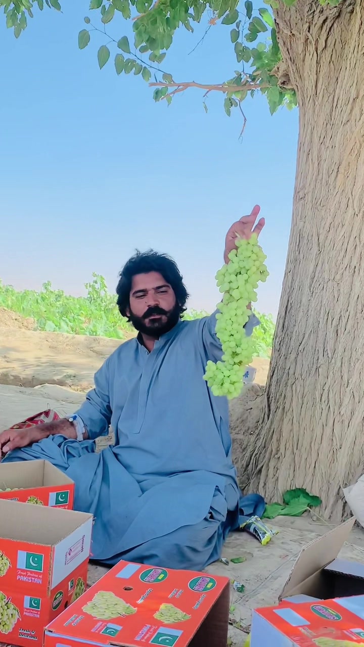 @Sarfaraz Raisani