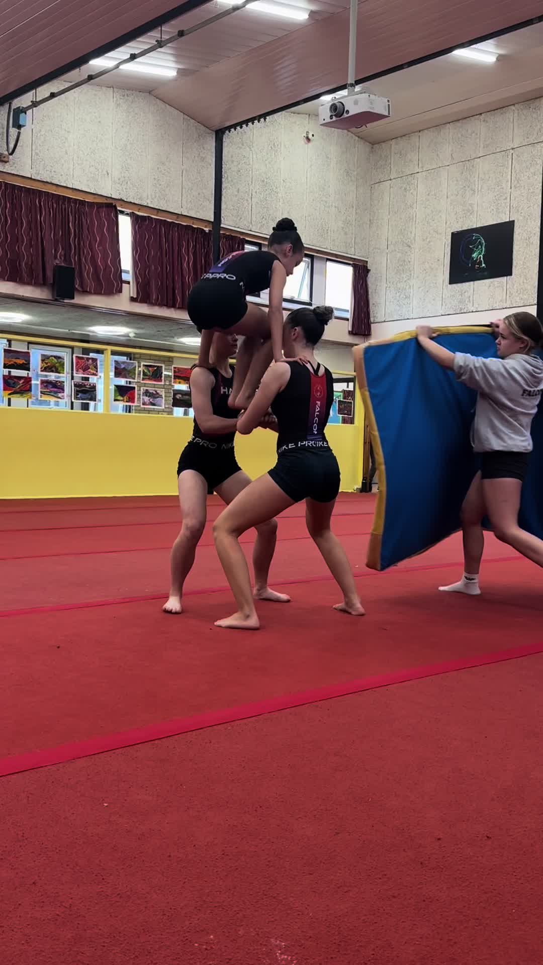 @Falcon Gym