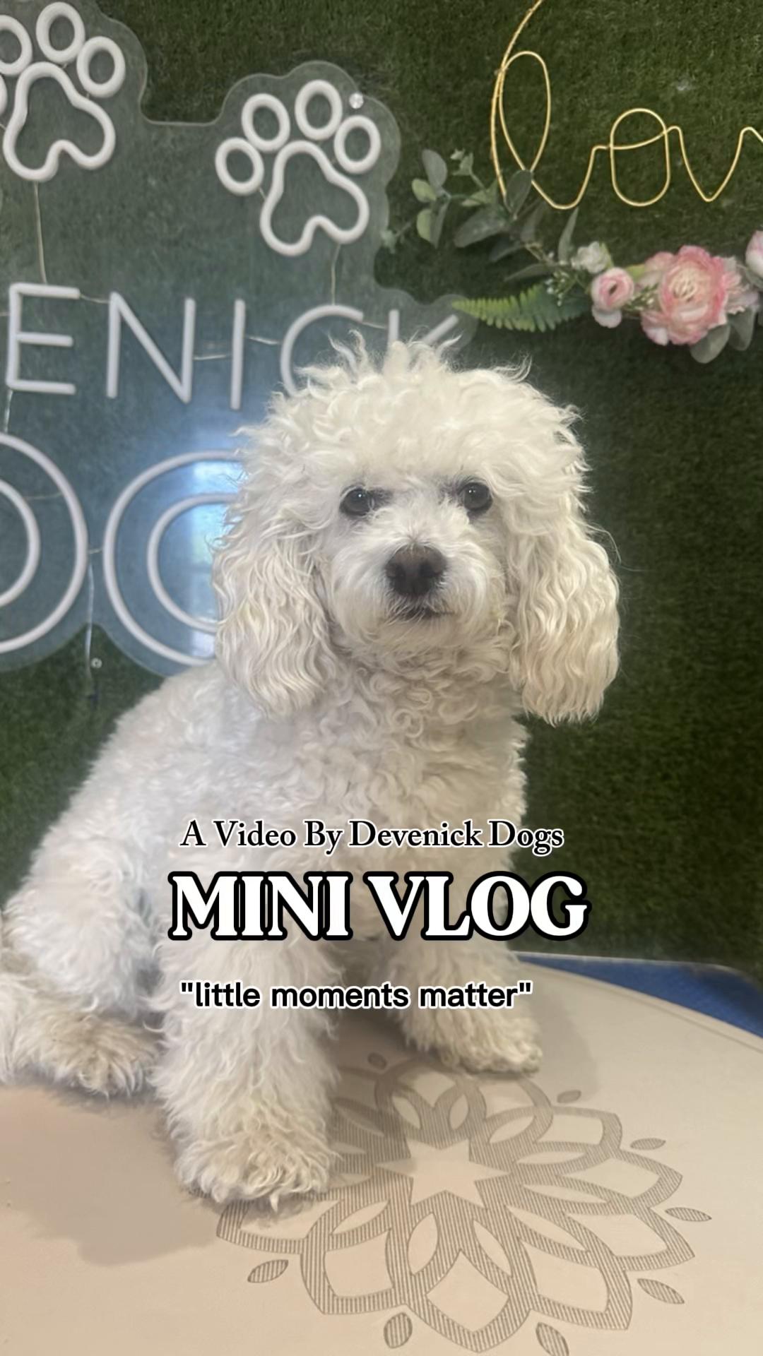 @DevenickDogs