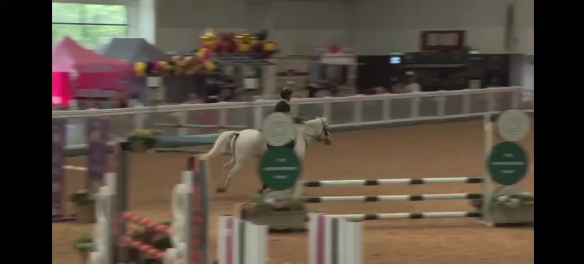 @ꨄMia & the show jumpers!ꨄ