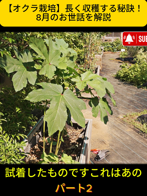 @KyotoTravelJP