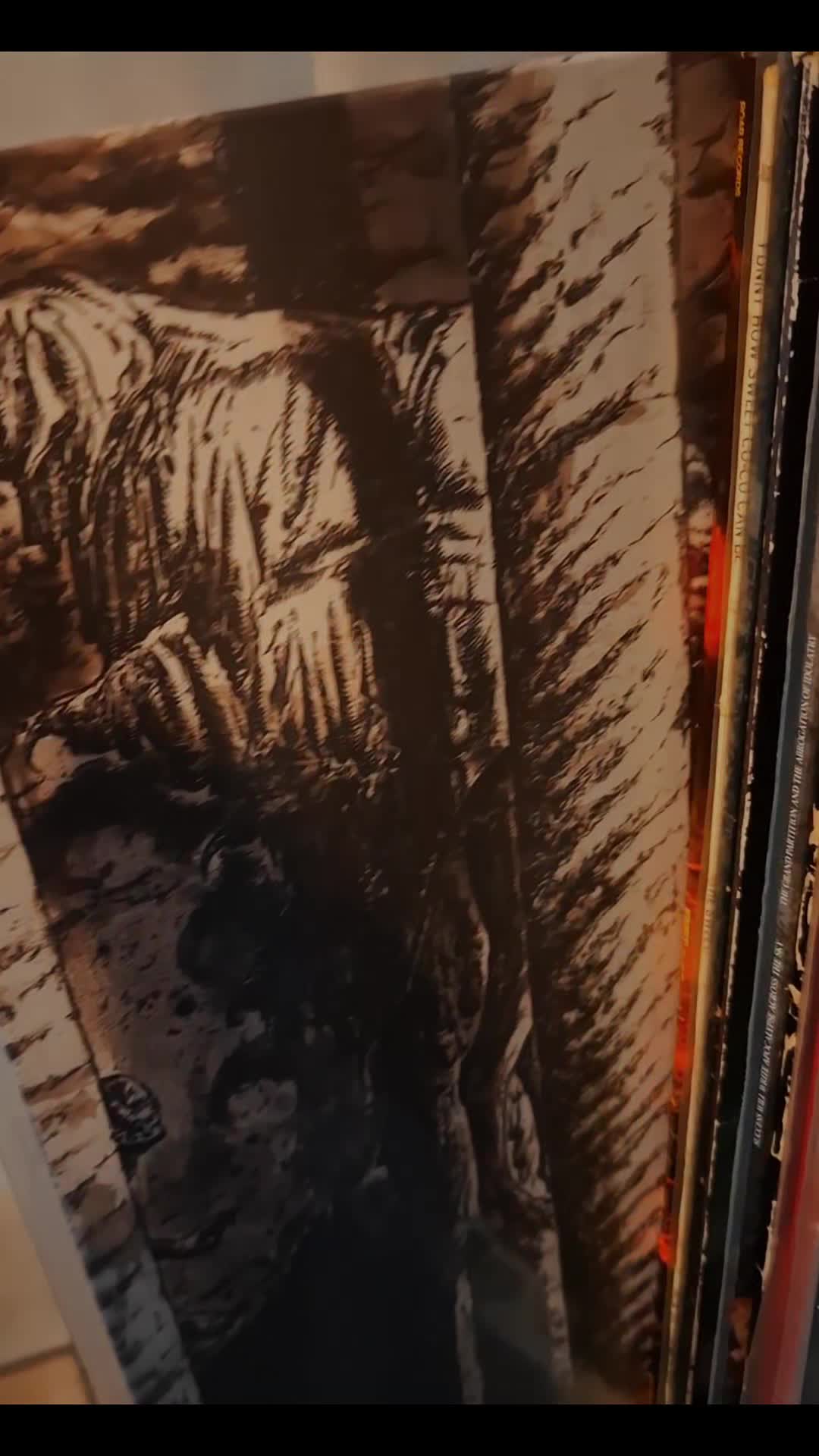 @vinyl