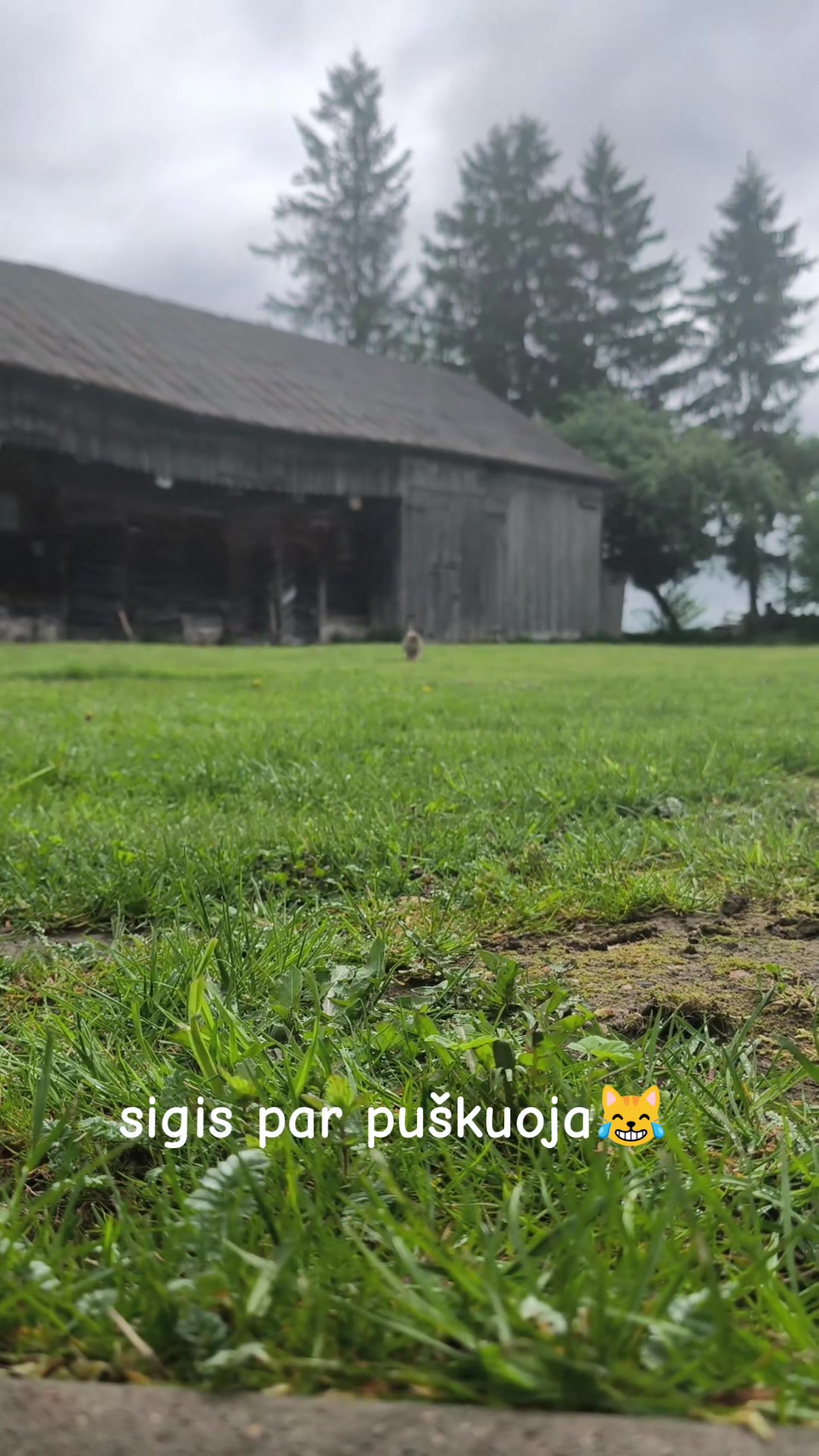 @🐰🐰Zuikyyyys🐰🐰