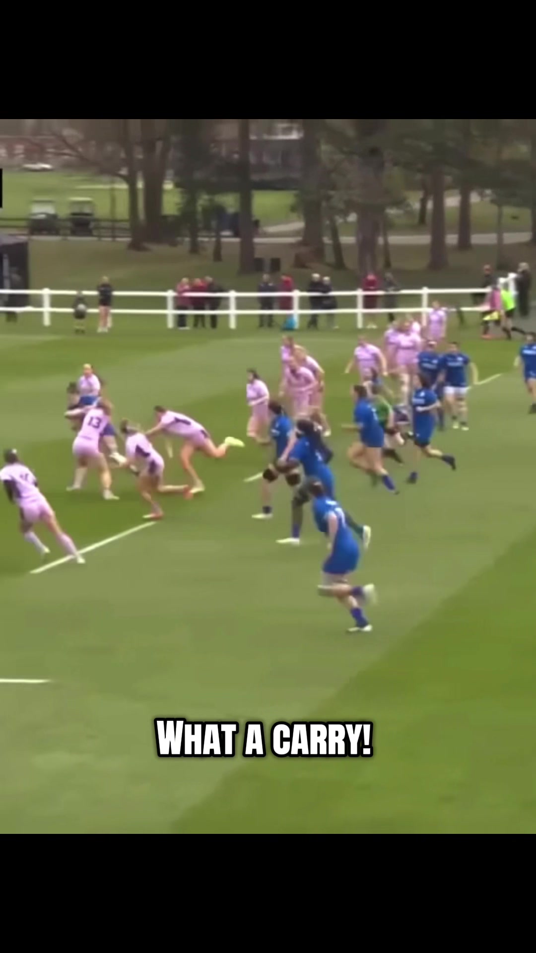 @young_rugby