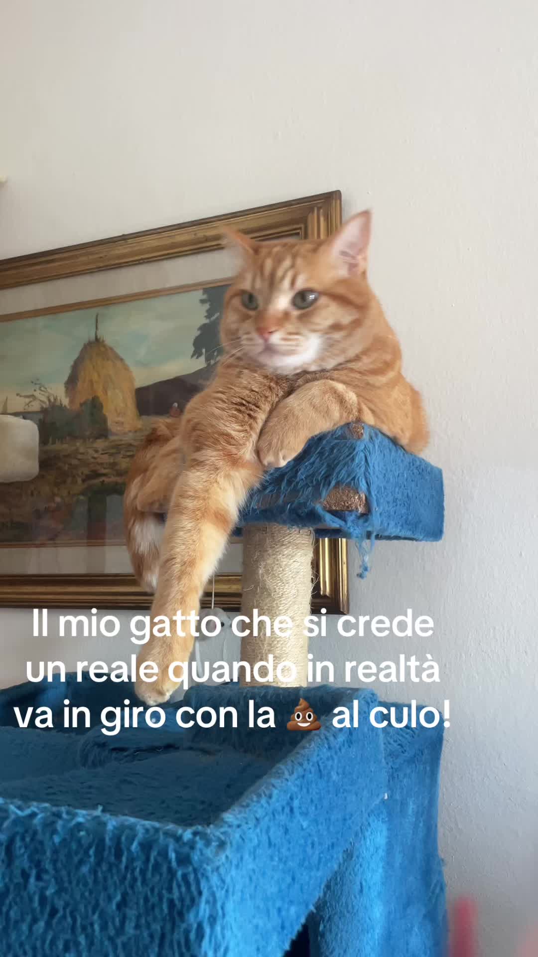 @Venere