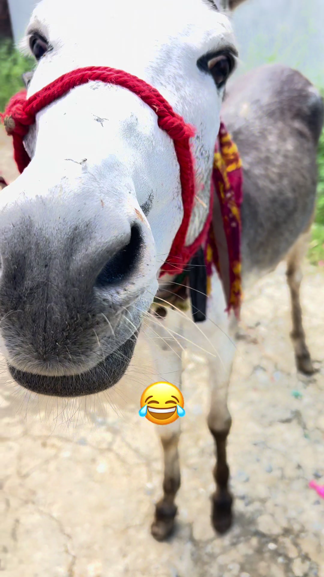 @mkbadsha67