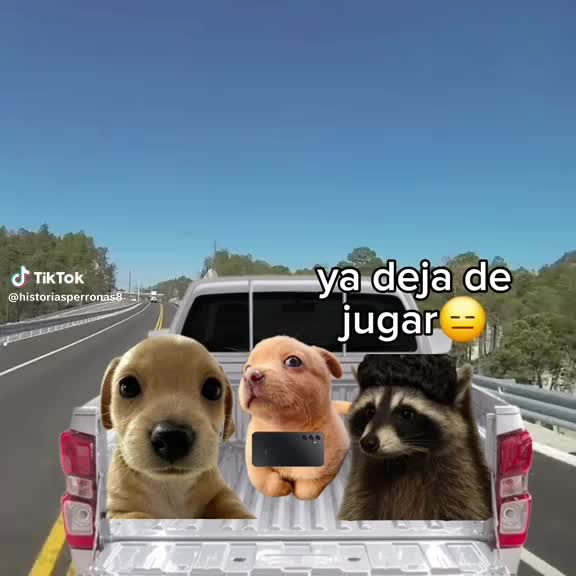 @yuta_filtros