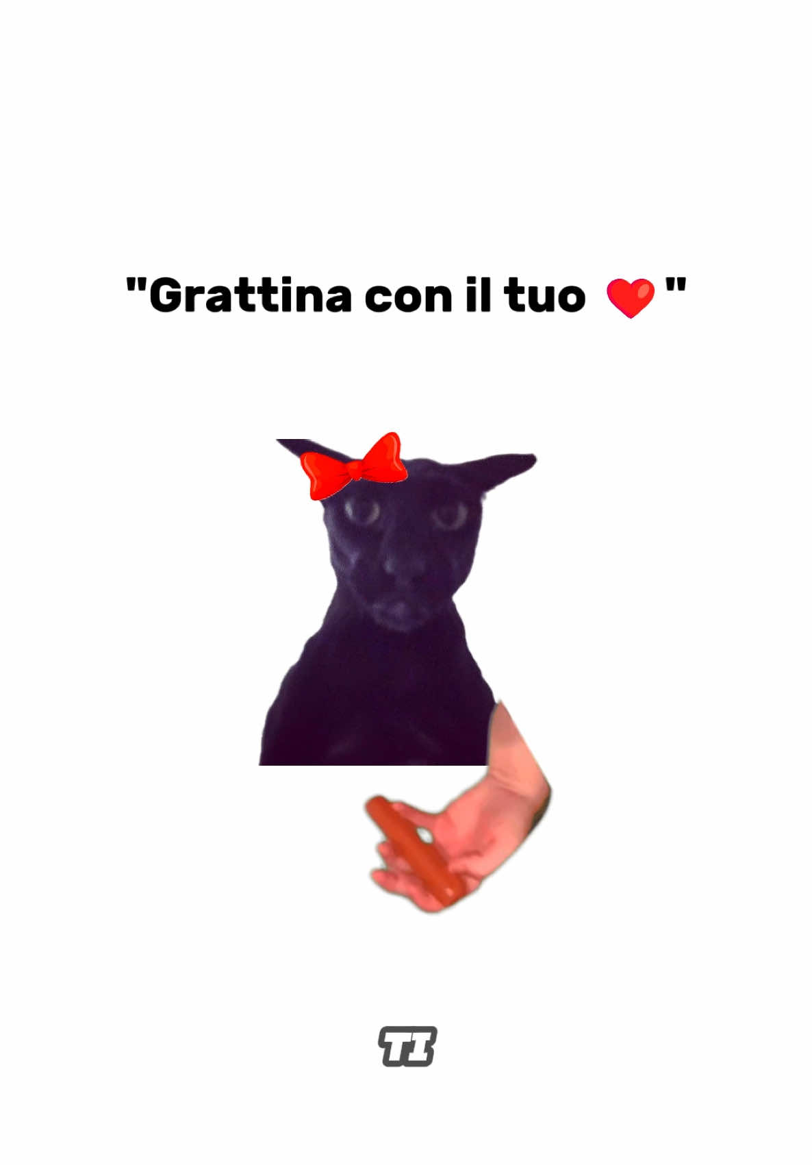 @Grattino😻
