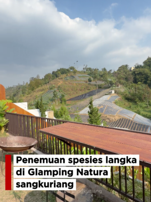 @Natura Sangkuriang Official