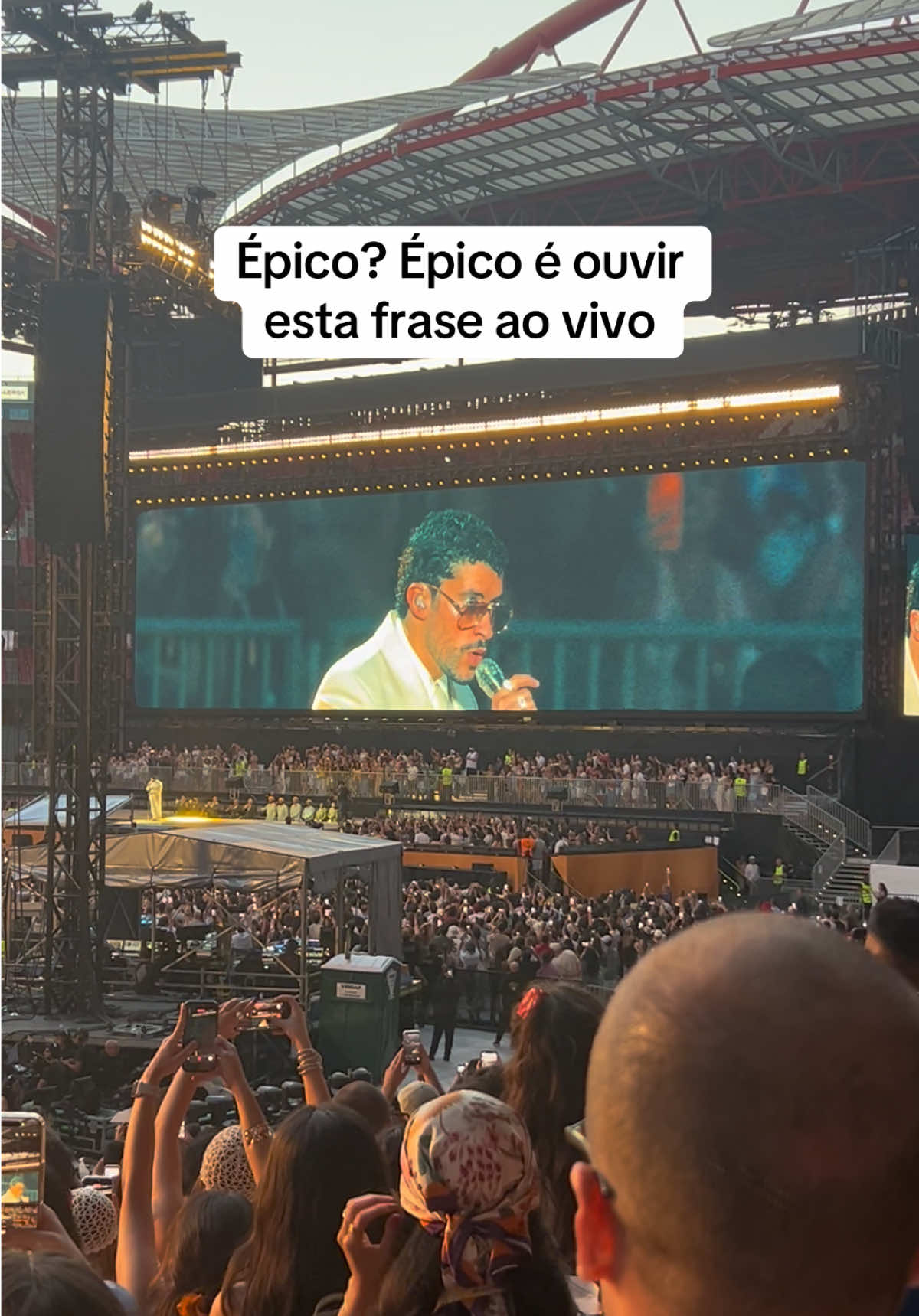 @Vera Soares