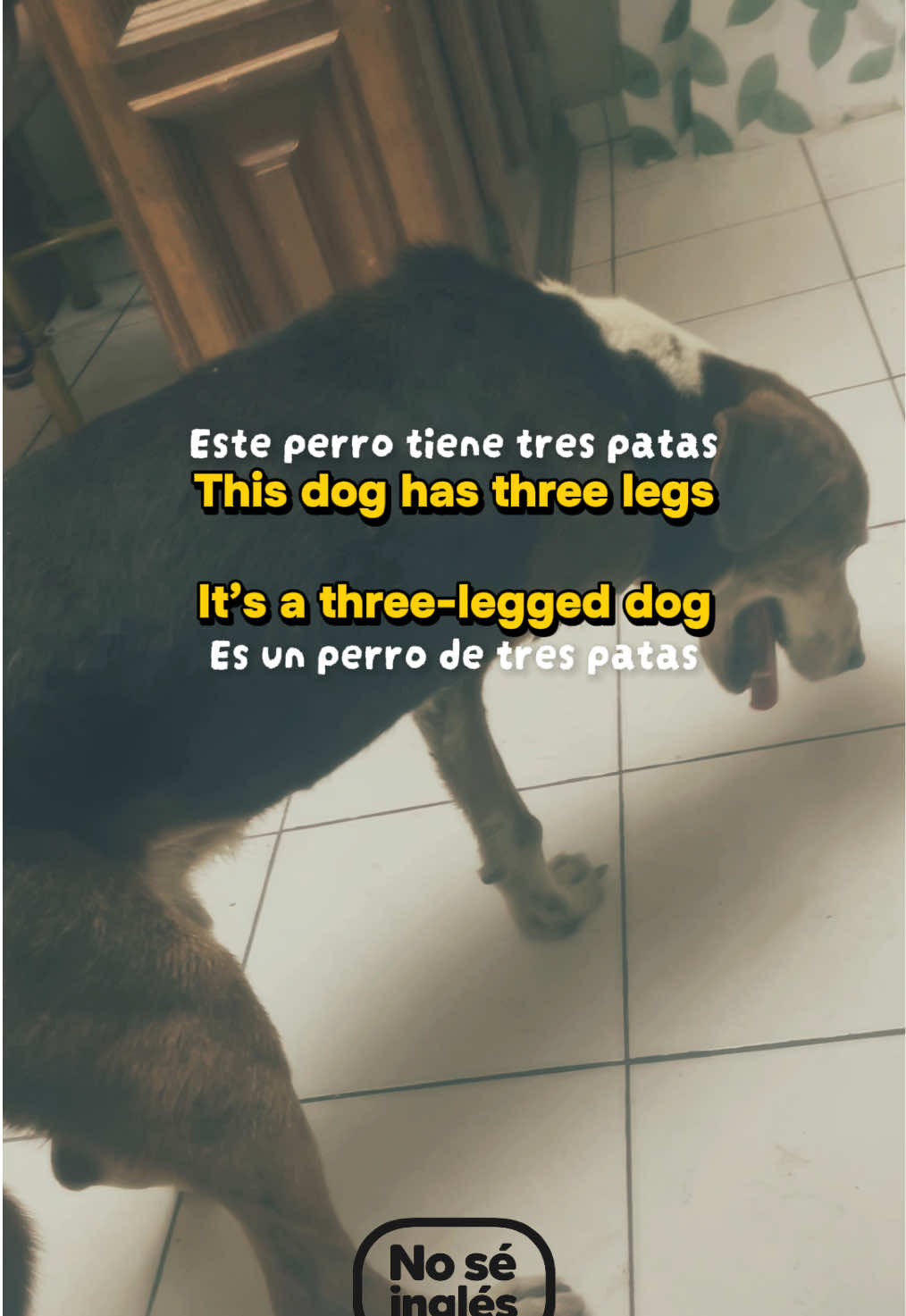 @No sé inglés 💬