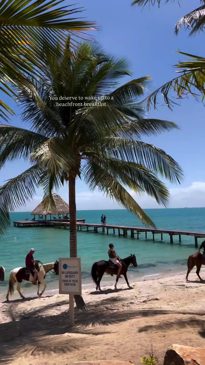 @The Belize Collection