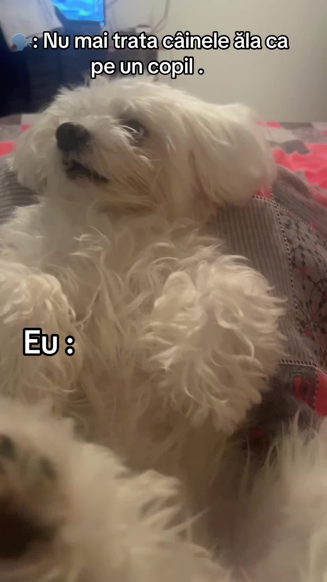 @Mioana