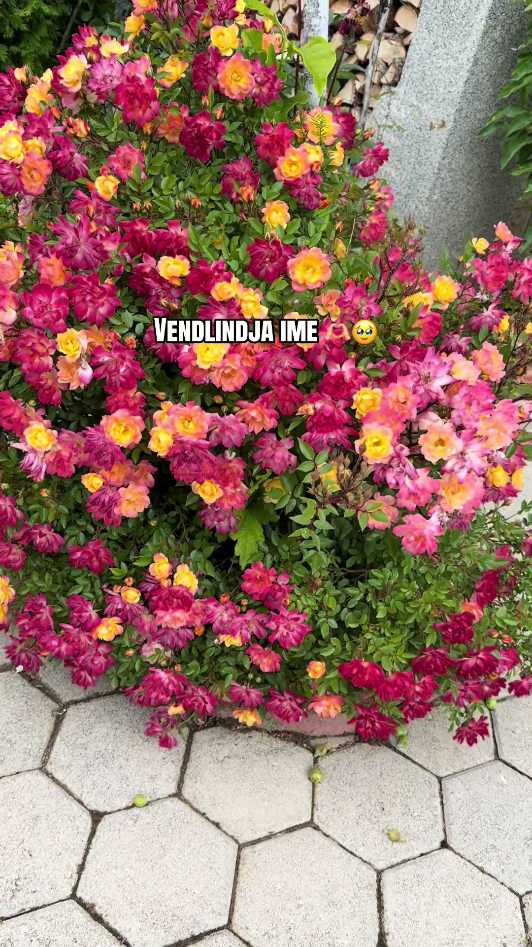 @Nadire