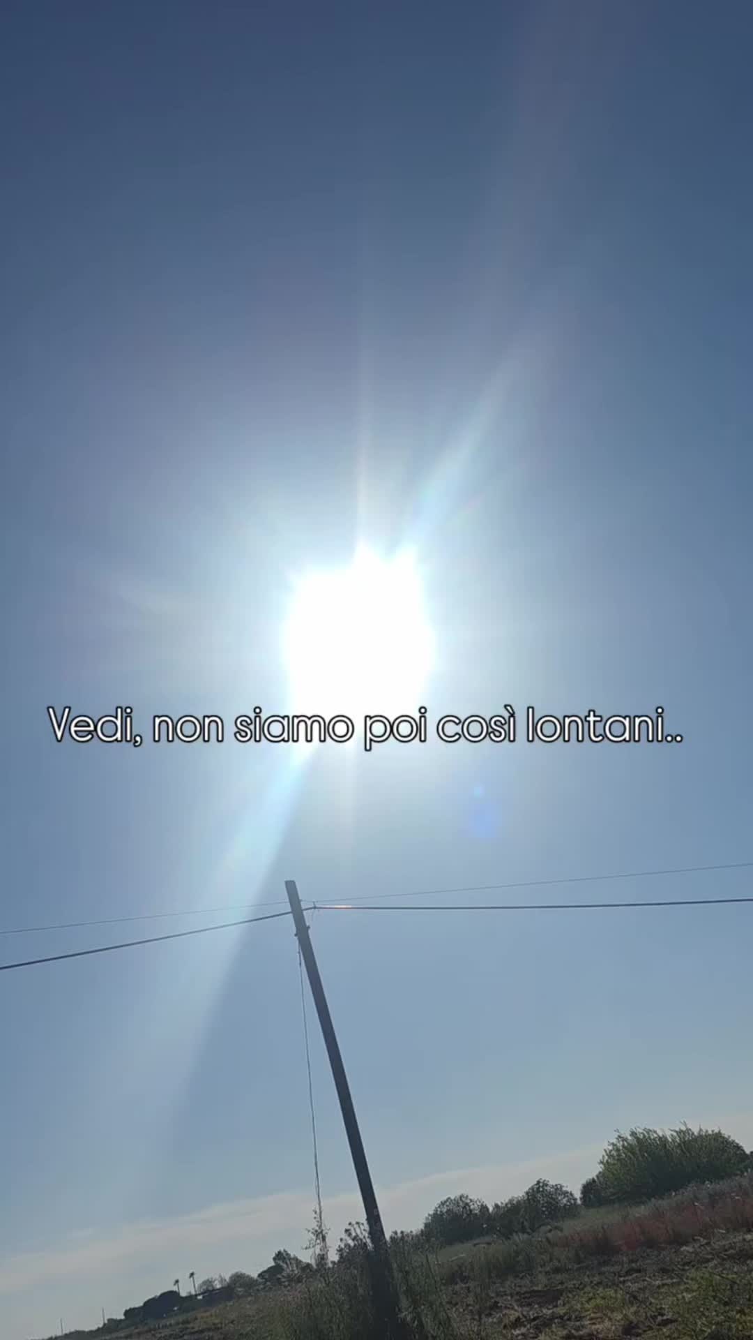 @noemidabovich7