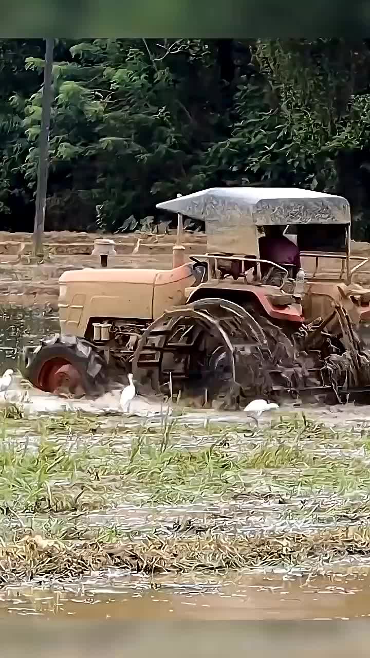 @𝗽𝗿𝗶𝗺𝗲 𝗰𝗿𝗶𝗰𝗸