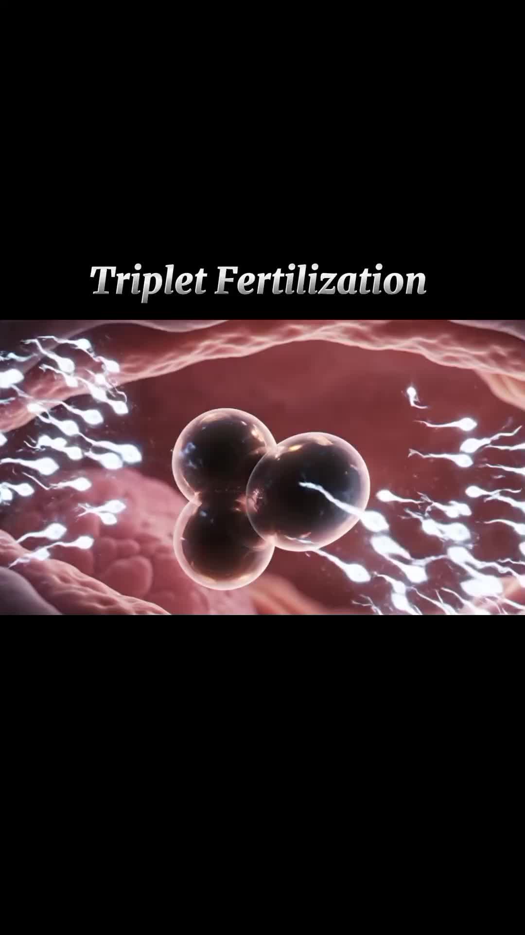 @Pregnancy Info