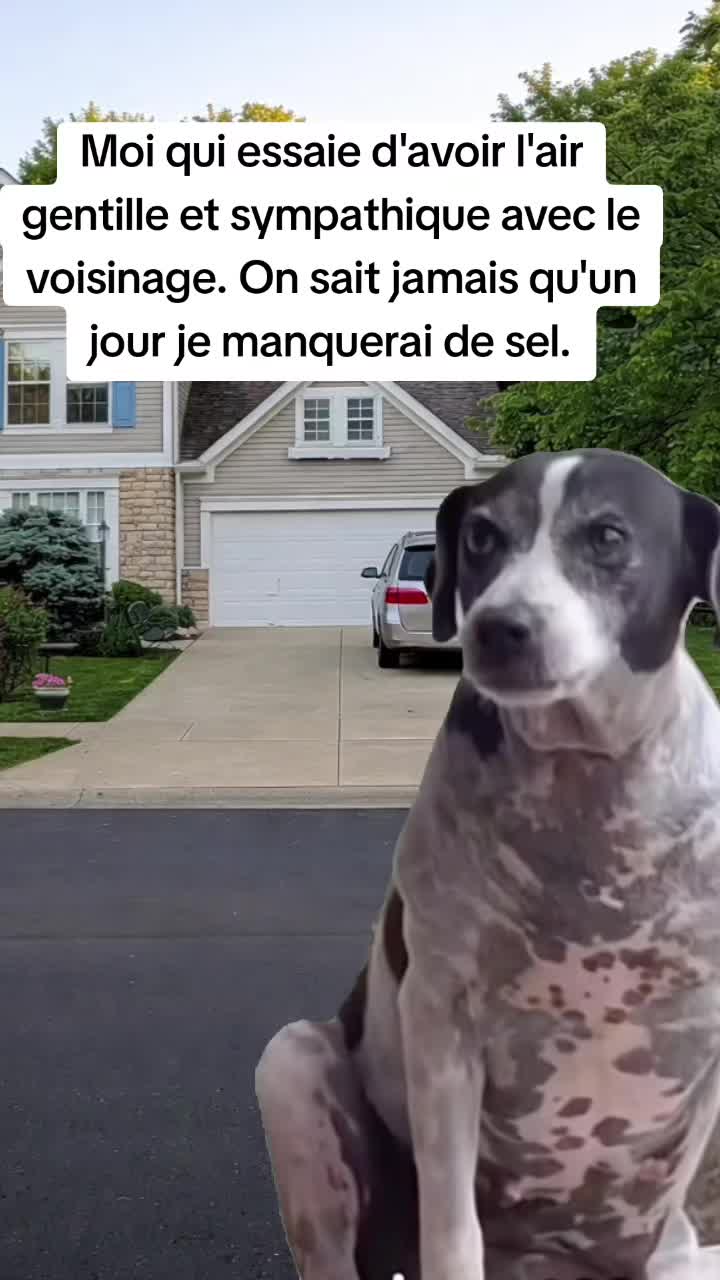 @🦋 Reine_Mère 🦋