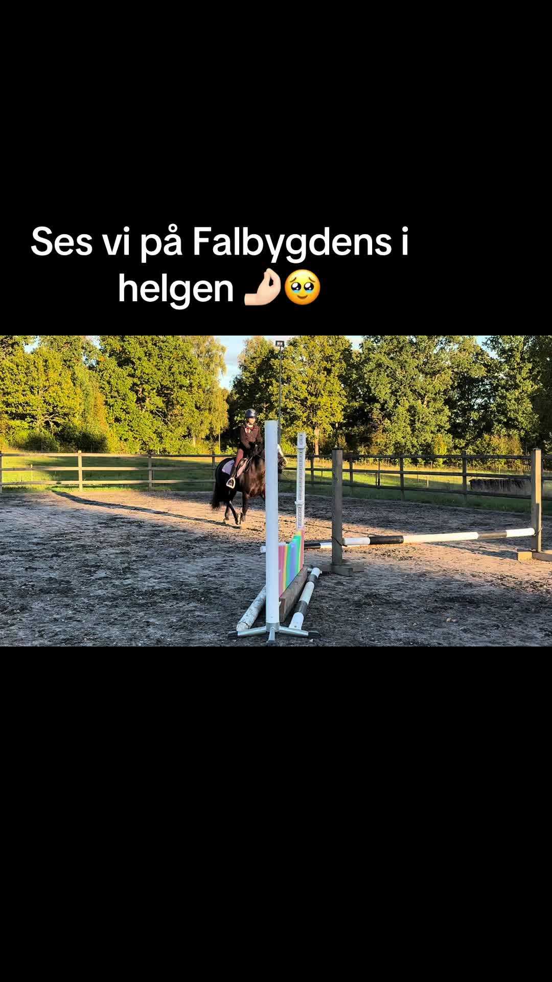 @🇸🇪🦄𝓔𝓵𝓲𝓷 𝓔𝓭𝓺𝓿𝓲𝓼𝓽