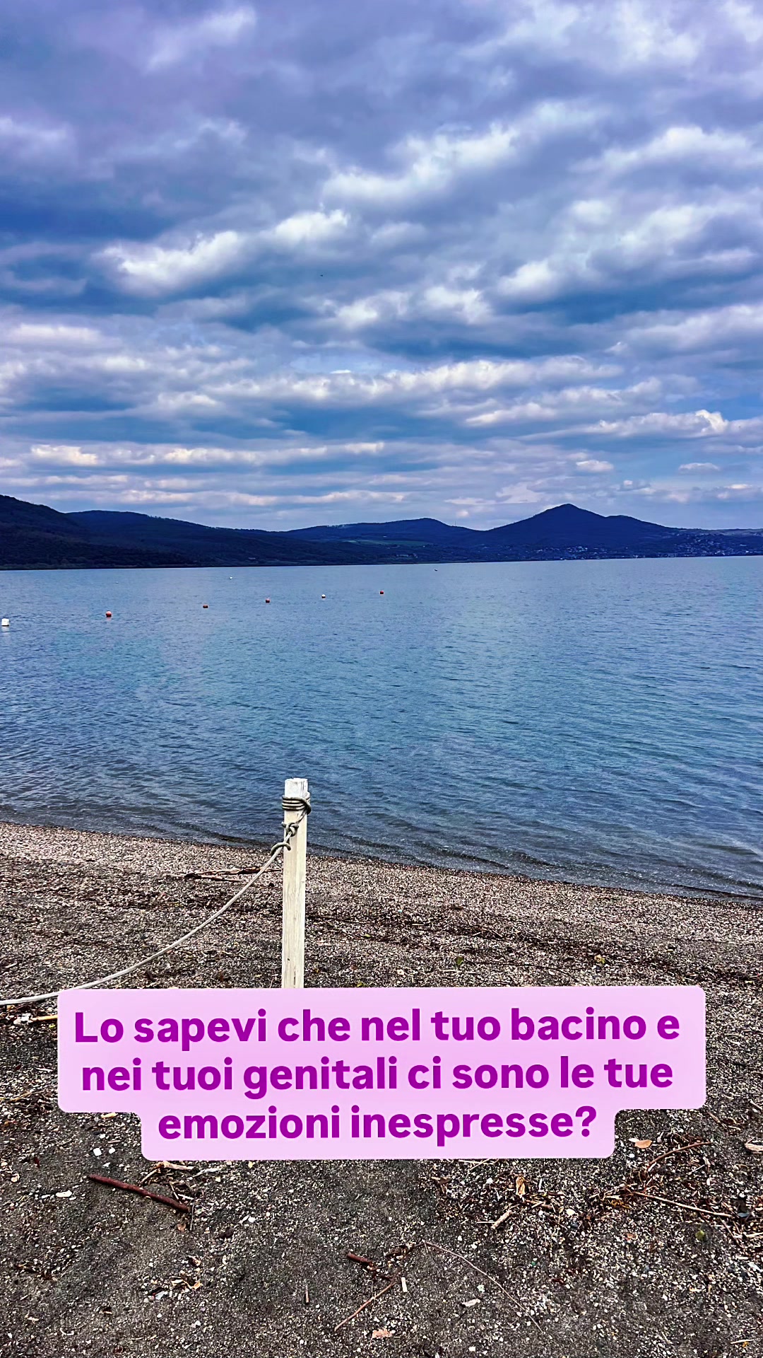 @Eleonora Sellitto