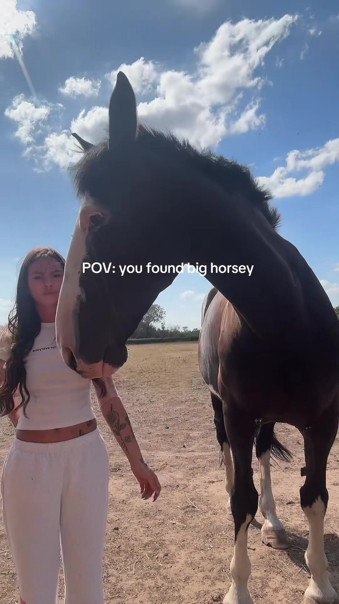 @Sophie&merlin🌸🐴