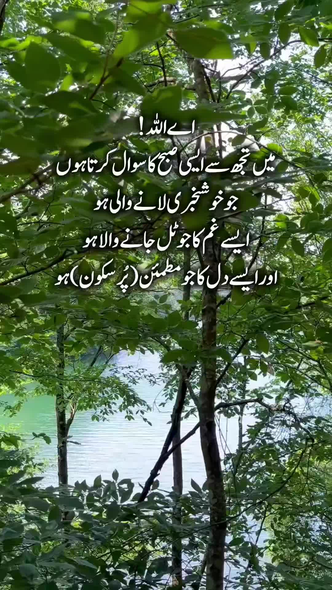 @Kainat Quotes