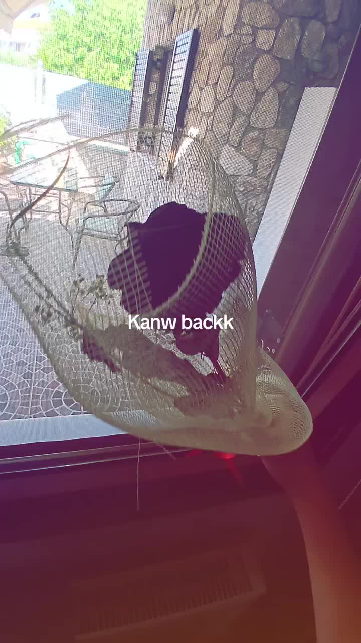 @IneRena🤪‼️