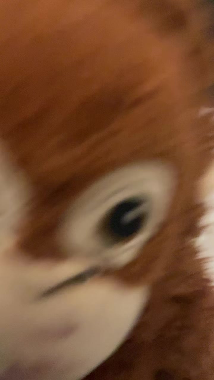 @-𝓼𝓸𝓹𝓱𝓲𝓪-❀(◕ᴗ◕✿)