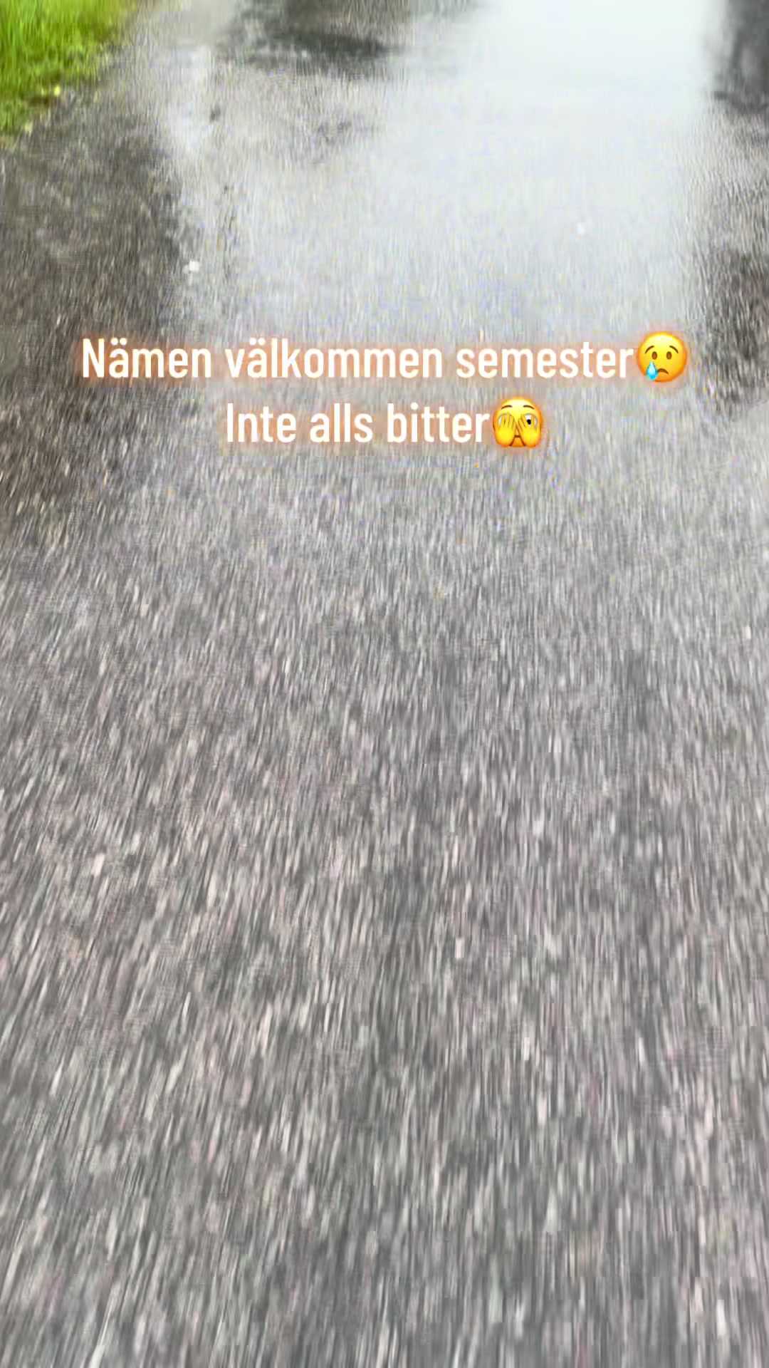 @dutch_lab_stories