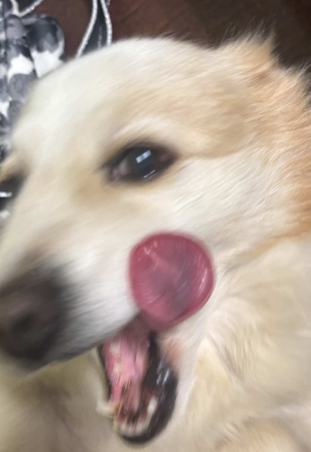 @𝓑𝓲𝓪𝓷𝓬𝓪🤍