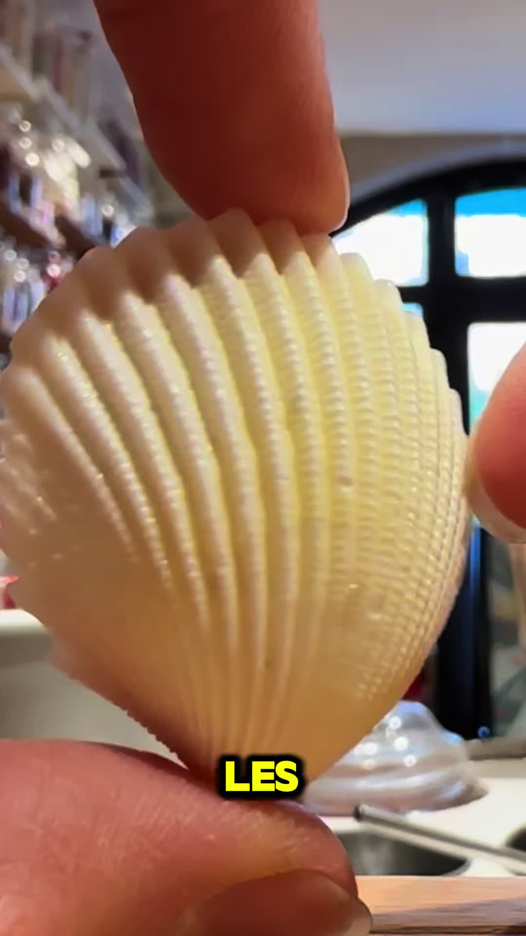 @Confiserie Jellyfish