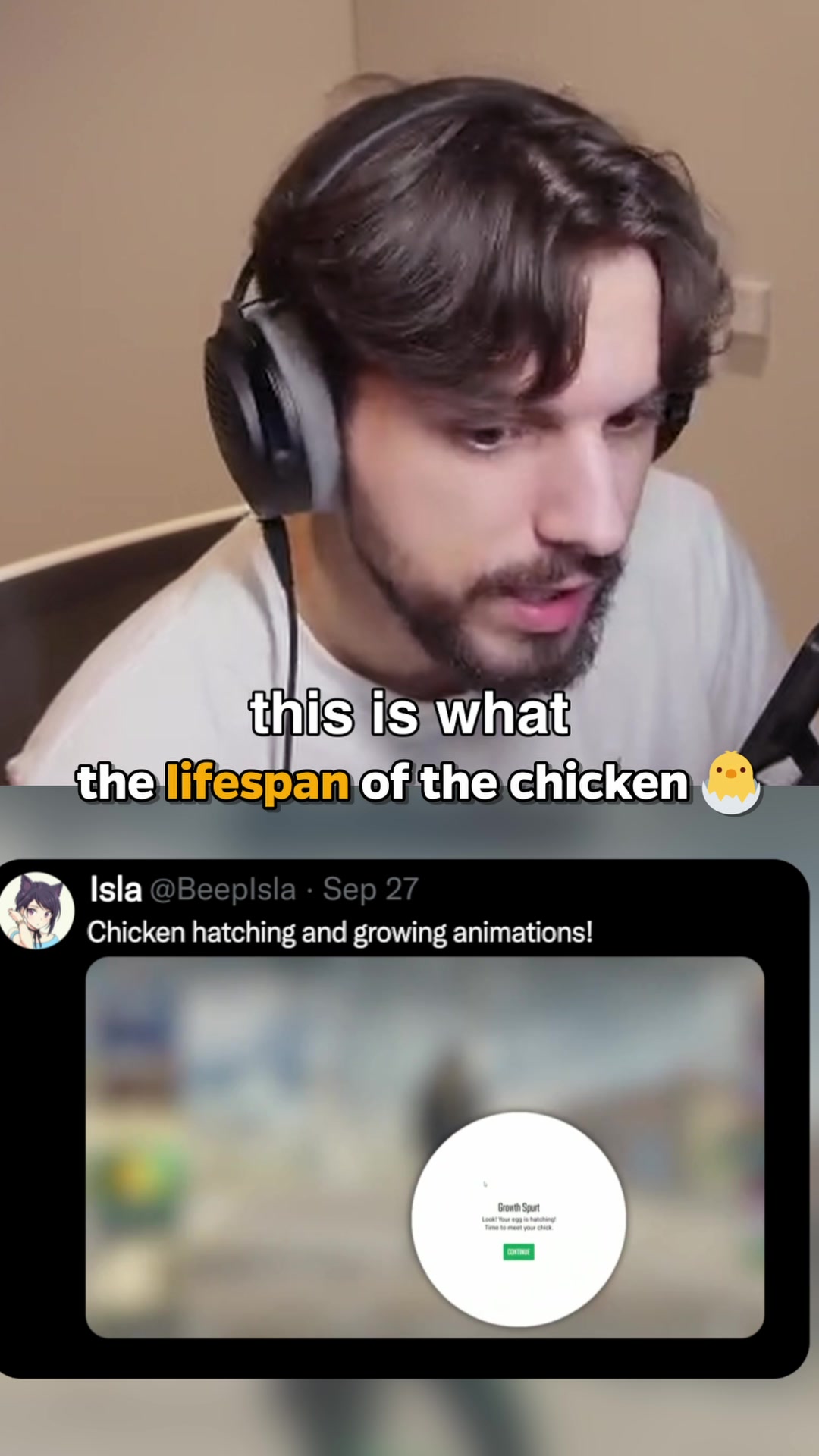 @dima_wallhacks