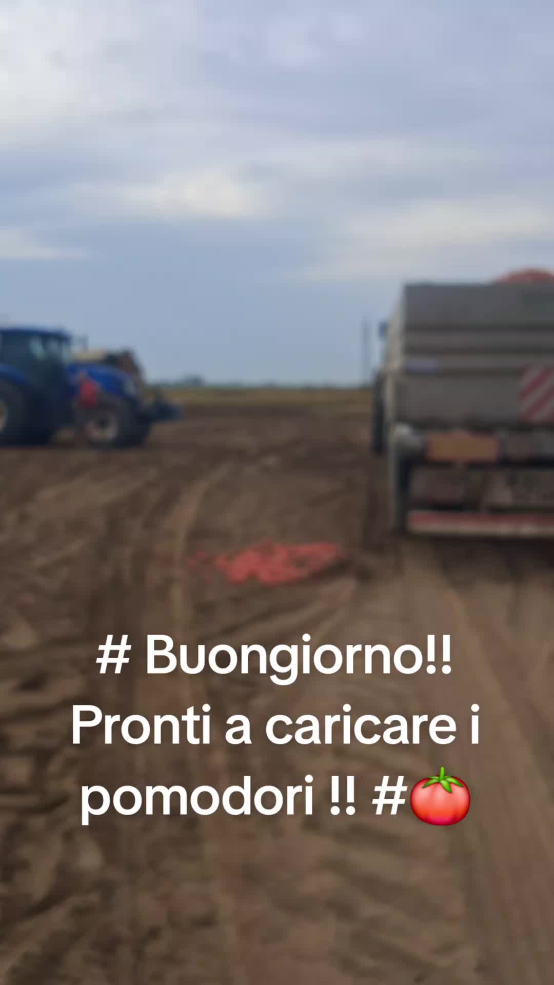 @danut75
