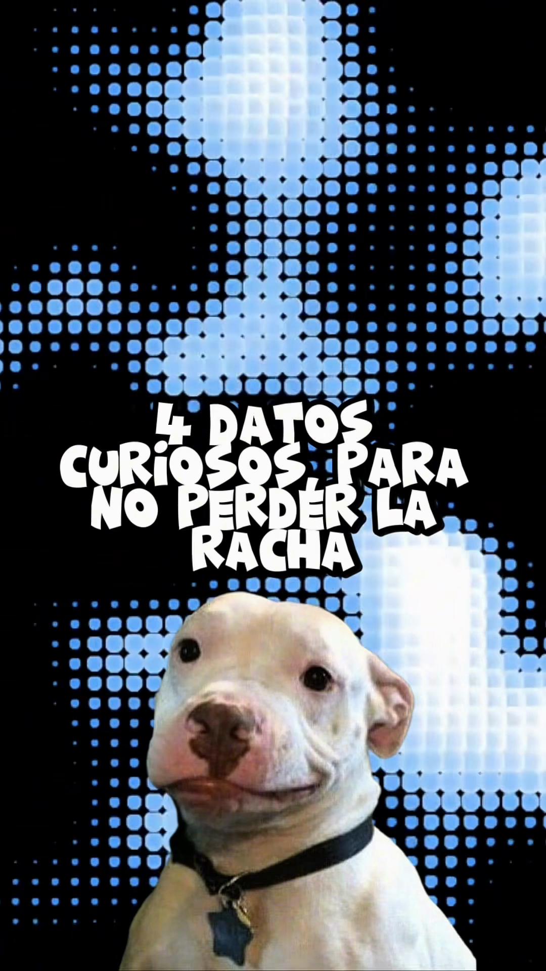 @universooculto404