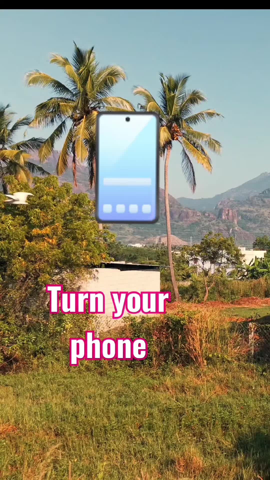@Nature Lover