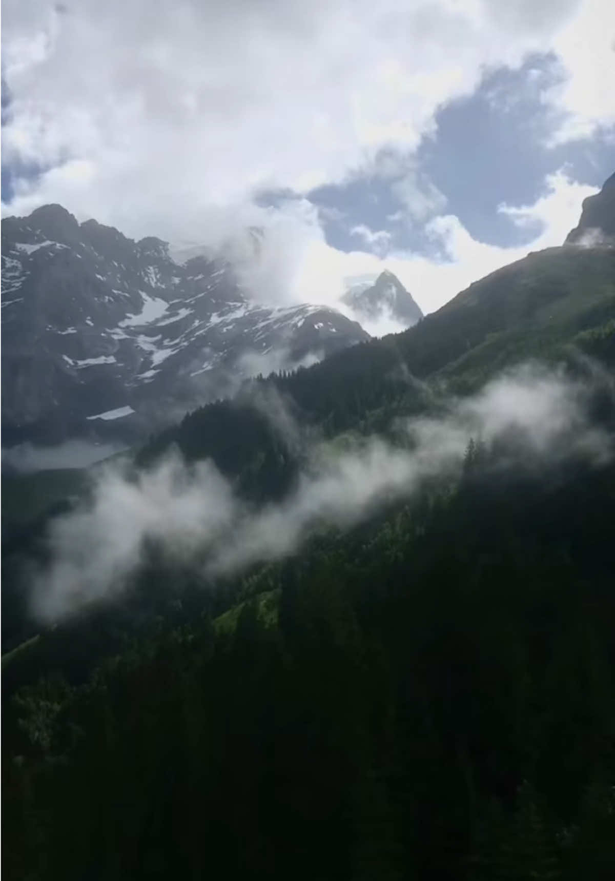 @SwissForestElf