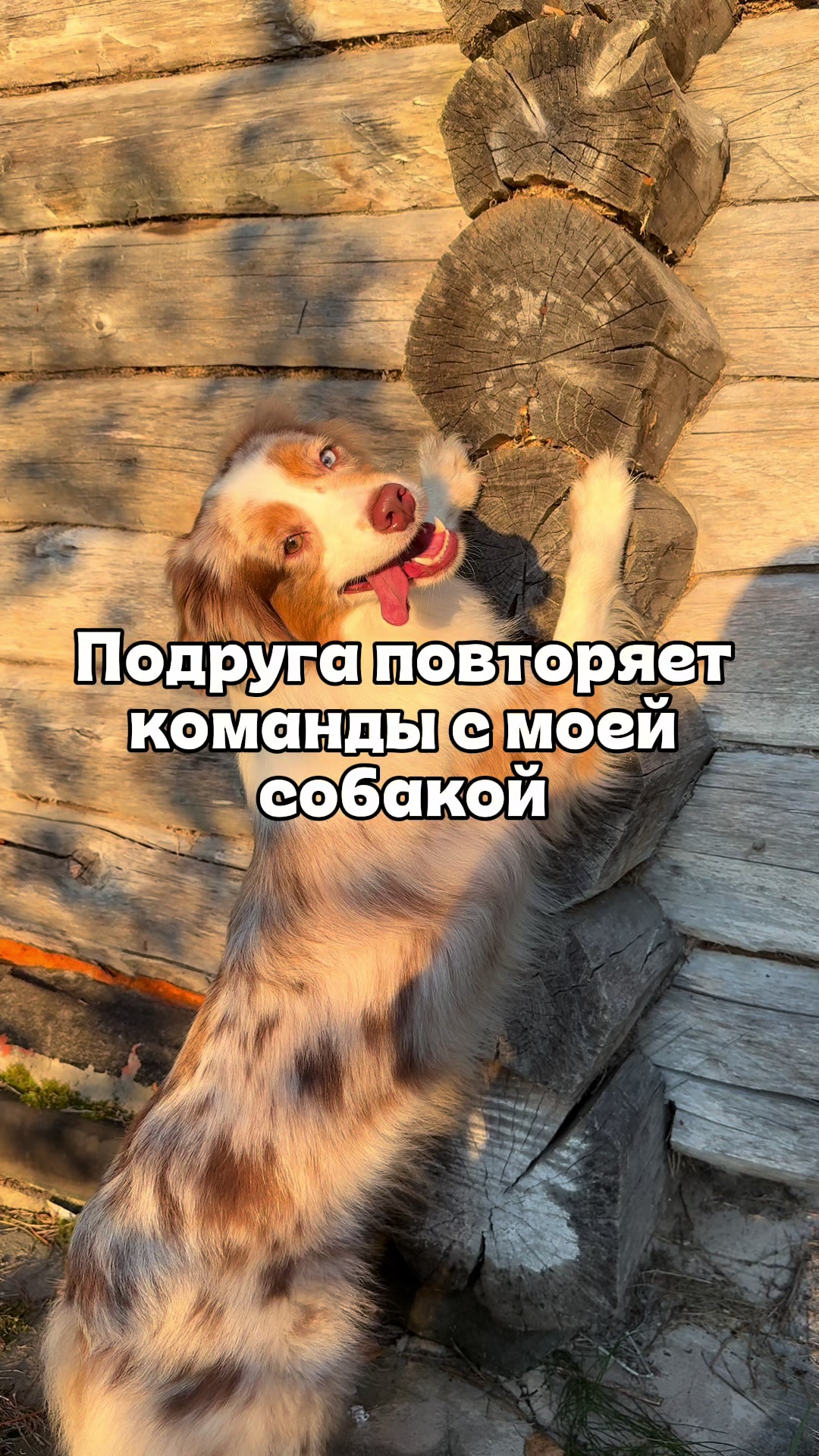 @𝚃𝚠𝚒𝚡