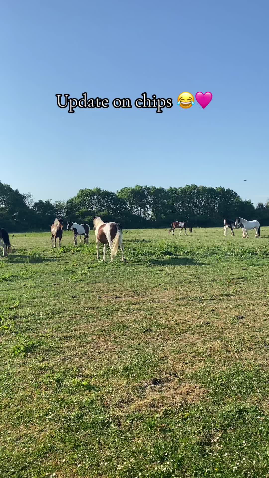 @Lulucashx20