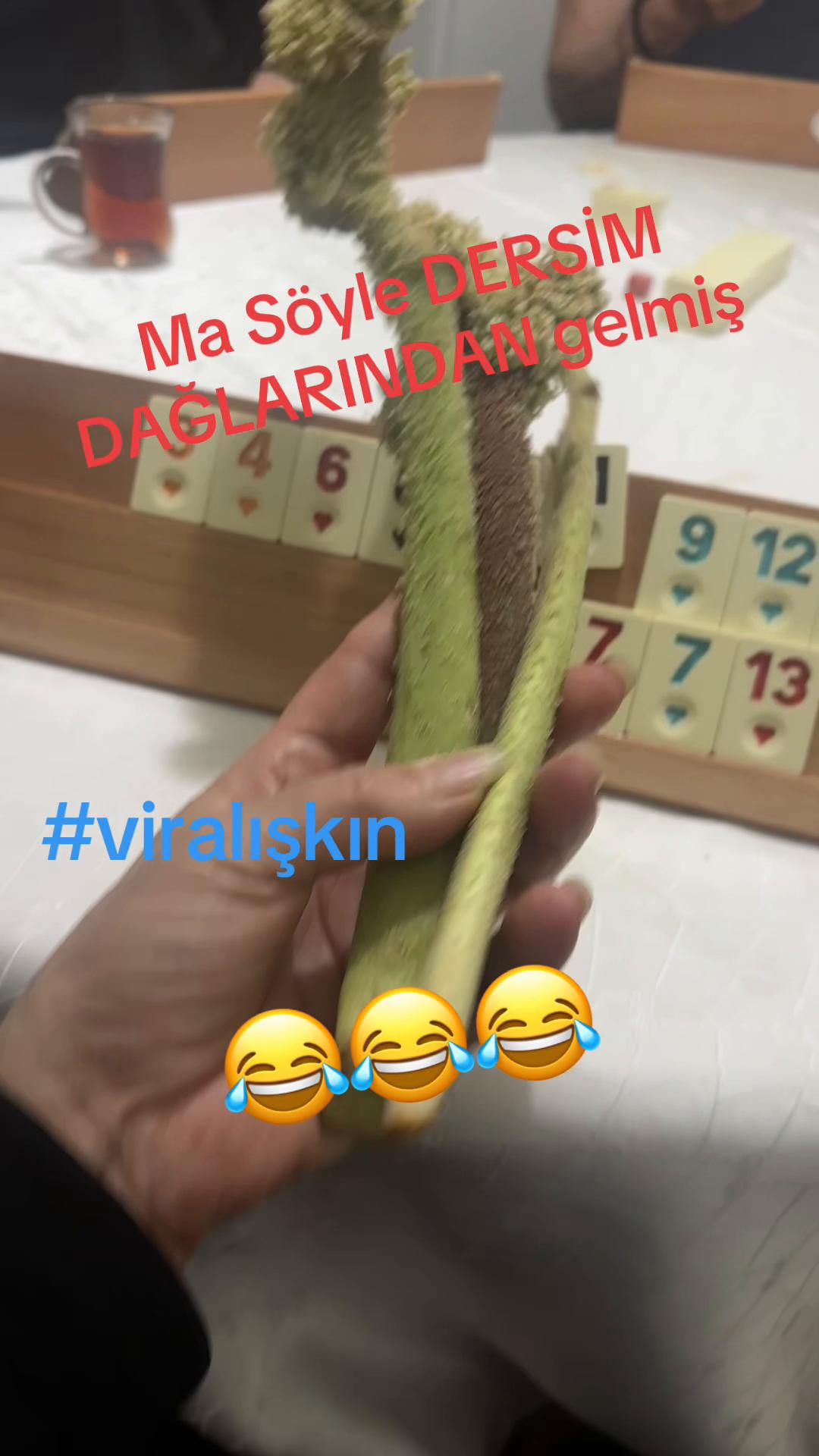 @Birsel mircikmameki62