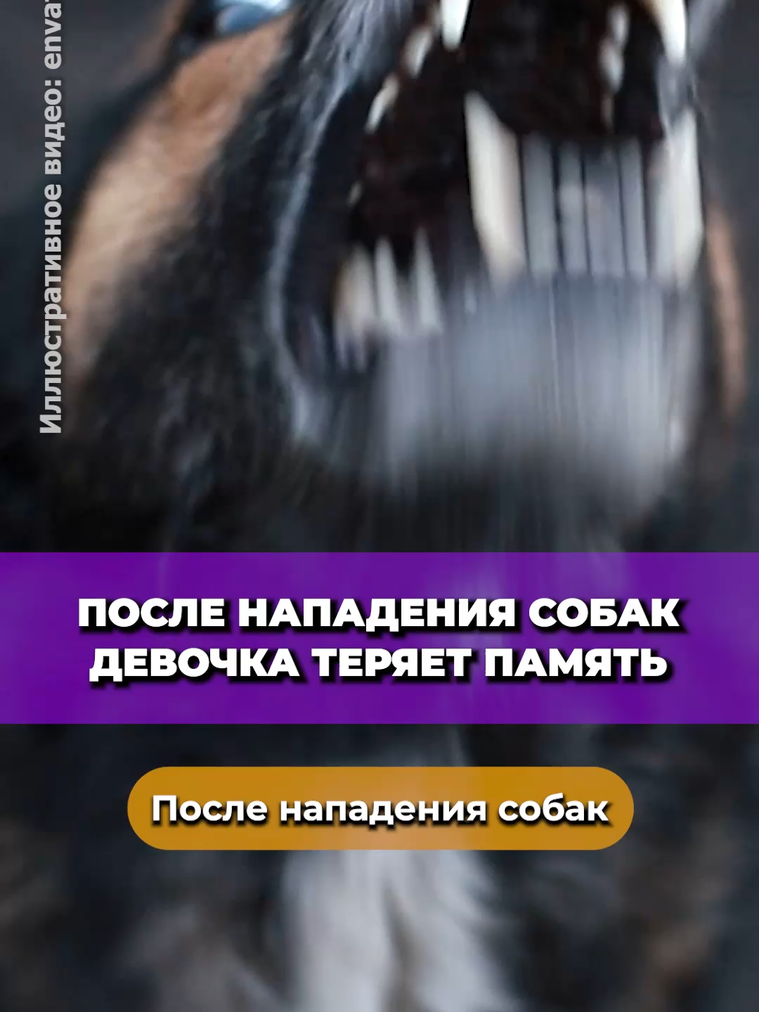 @Жалобы | Беларусь