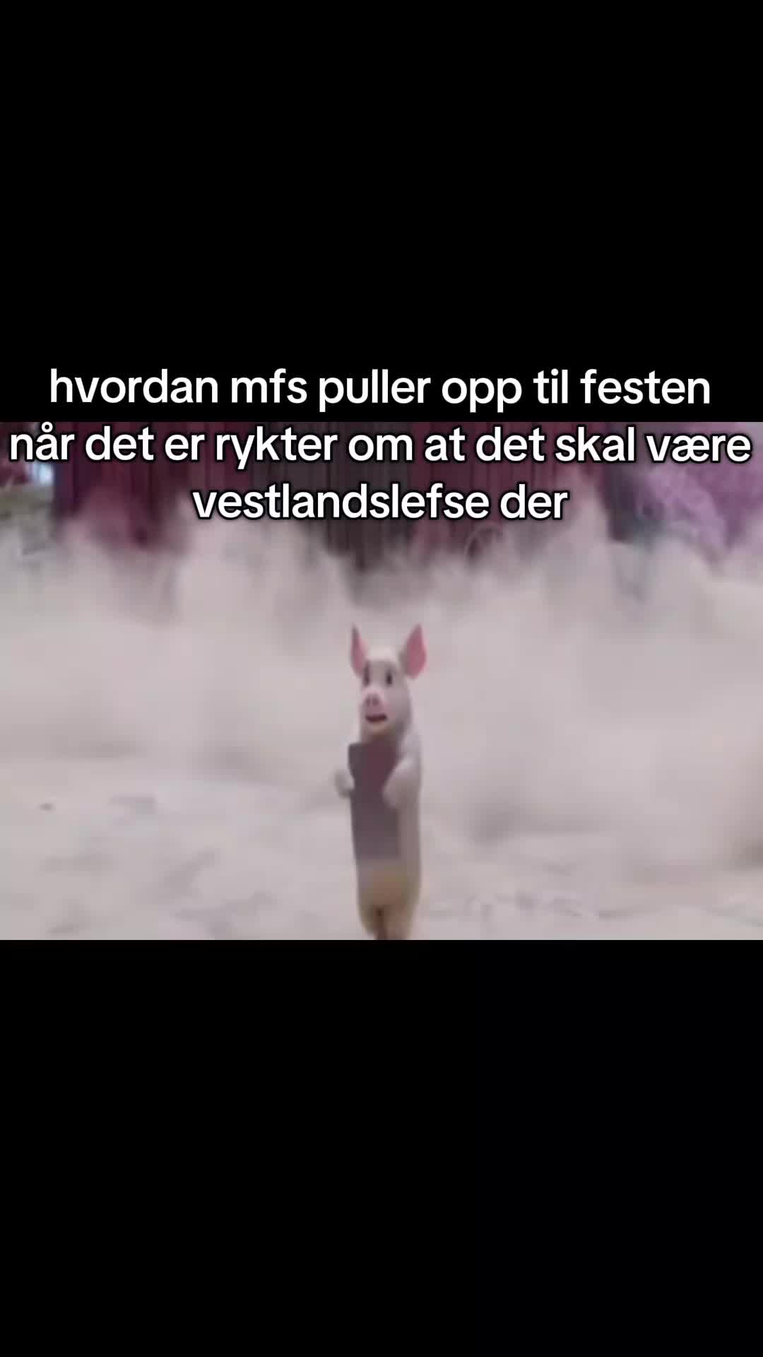 @vestlandslefselover