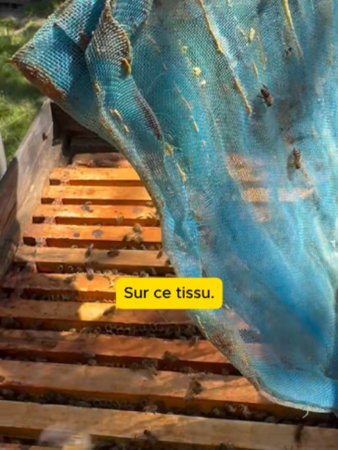 @Abeille Heureuse